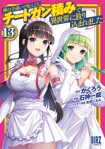 神てち⑬の詳細へ