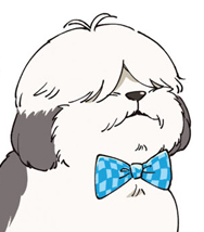 連載再開のお知らせ